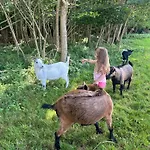 Campsite Les Roulottes Des Amis De Wonky Retaud