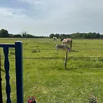 Les Roulottes Des Amis De Wonky Campsite Retaud