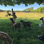 Campsite Les Roulottes Des Amis De Wonky *