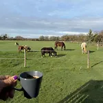 Campsite Les Roulottes Des Amis De Wonky Retaud