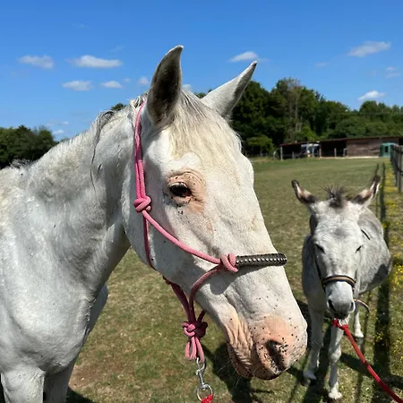 Les Roulottes Des Amis De Wonky Kemping *