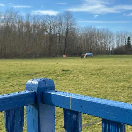 Camping Les Roulottes Des Amis De Wonky Rétaud