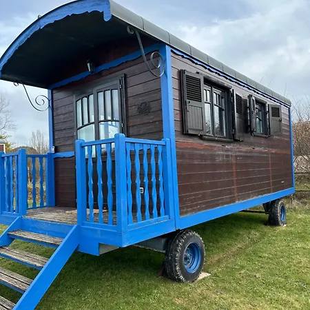 Les Roulottes Des Amis De Wonky *