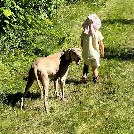 Les Roulottes Des Amis De Wonky Rétaud