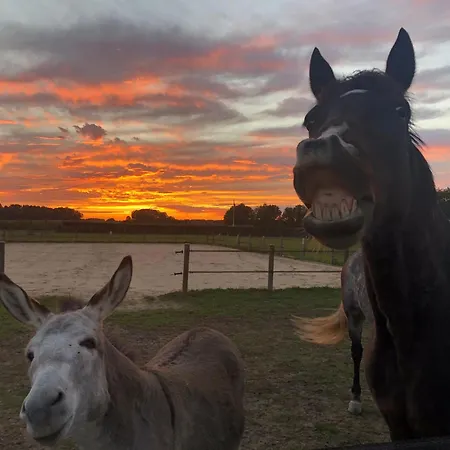 Les Roulottes Des Amis De Wonky אתר קמפינג Rétaud
