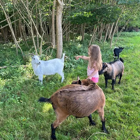 Campsite Les Roulottes Des Amis De Wonky Retaud