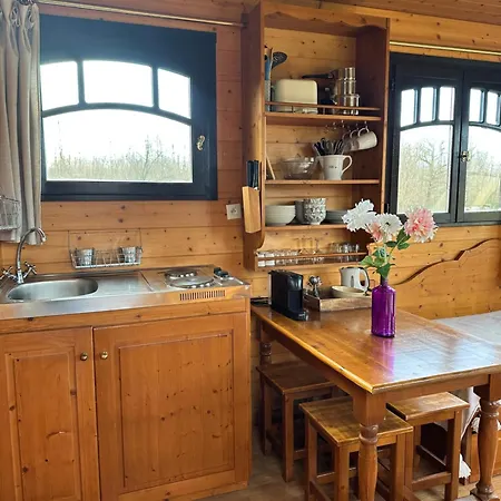 Les Roulottes Des Amis De Wonky