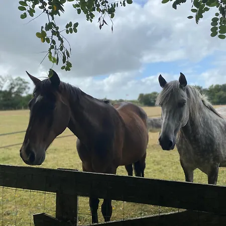 Kemping Les Roulottes Des Amis De Wonky *