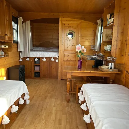 Les Roulottes Des Amis De Wonky *