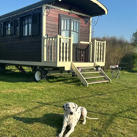 Les Roulottes Des Amis De Wonky * Rétaud