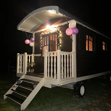 Les Roulottes Des Amis De Wonky * Rétaud