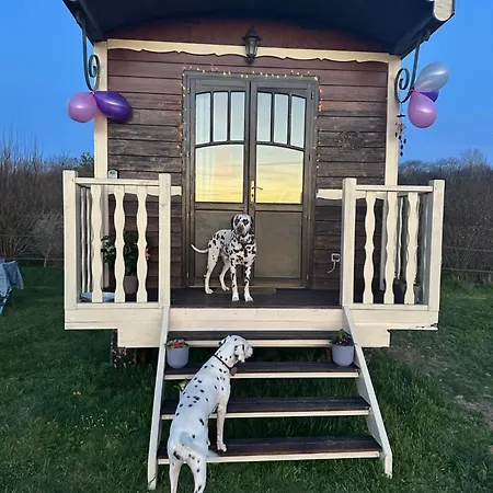 Campsite Les Roulottes Des Amis De Wonky