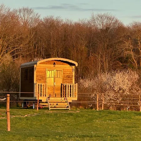 Les Roulottes Des Amis De Wonky * Rétaud