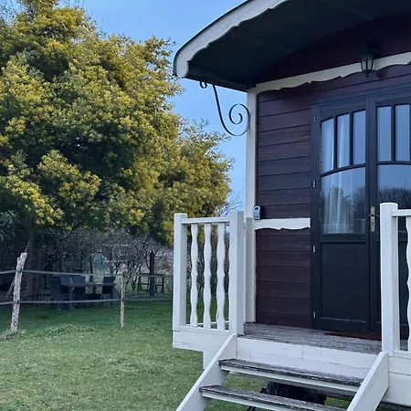 Les Roulottes Des Amis De Wonky Campsite