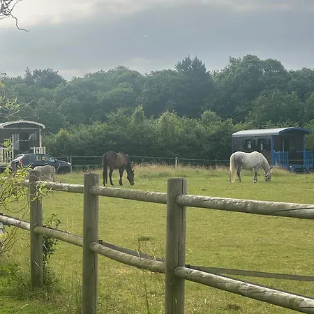 Les Roulottes Des Amis De Wonky