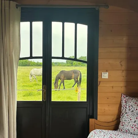 Les Roulottes Des Amis De Wonky *