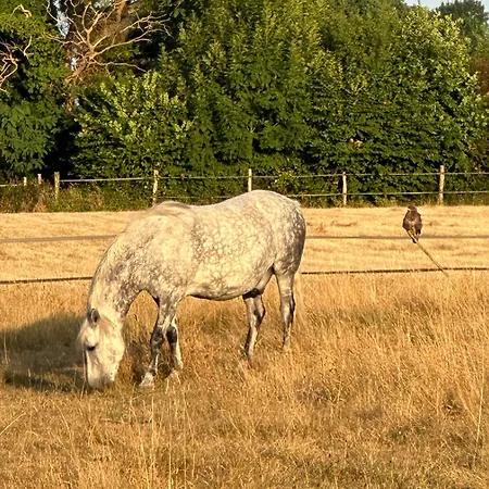 Les Roulottes Des Amis De Wonky Camping *
