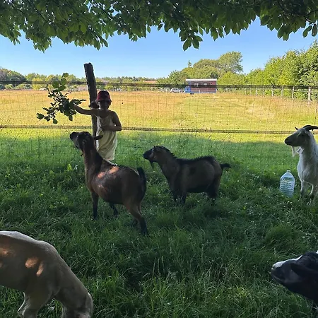 Camping Les Roulottes Des Amis De Wonky *