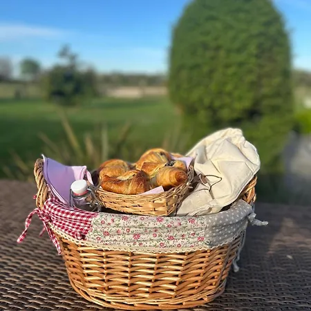 Les Roulottes Des Amis De Wonky * Rétaud