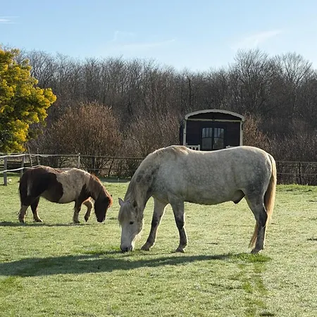 Camping Les Roulottes Des Amis De Wonky