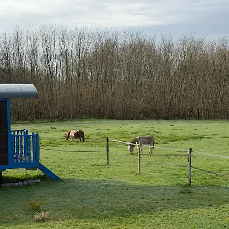 Les Roulottes Des Amis De Wonky Rétaud