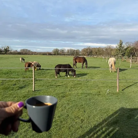 Camping Les Roulottes Des Amis De Wonky Rétaud