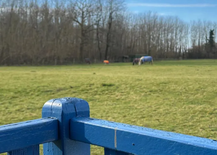 אתר קמפינג Les Roulottes Des Amis De Wonky Rétaud