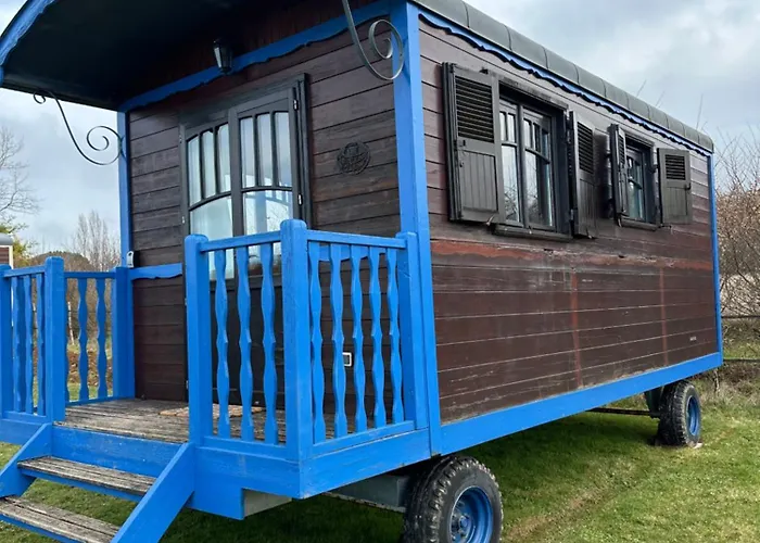 Les Roulottes Des Amis De Wonky *