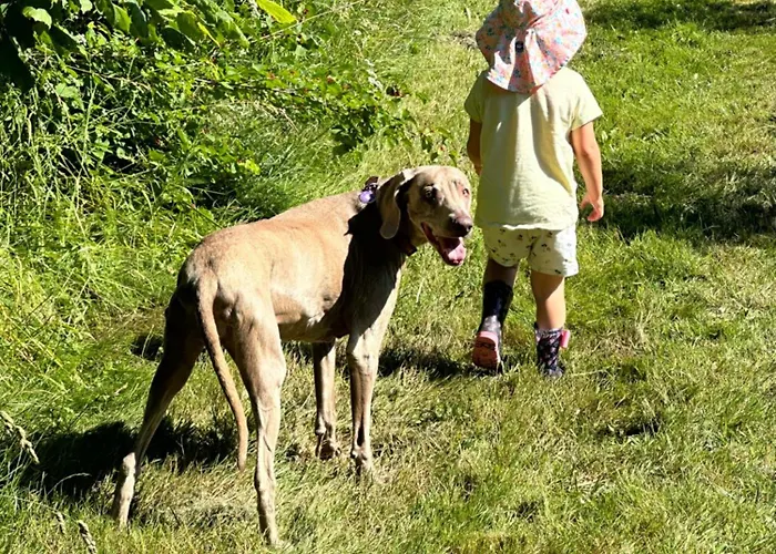 Les Roulottes Des Amis De Wonky Rétaud