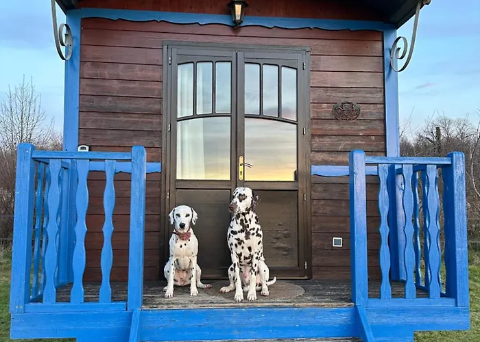 Les Roulottes Des Amis De Wonky אתר קמפינג *