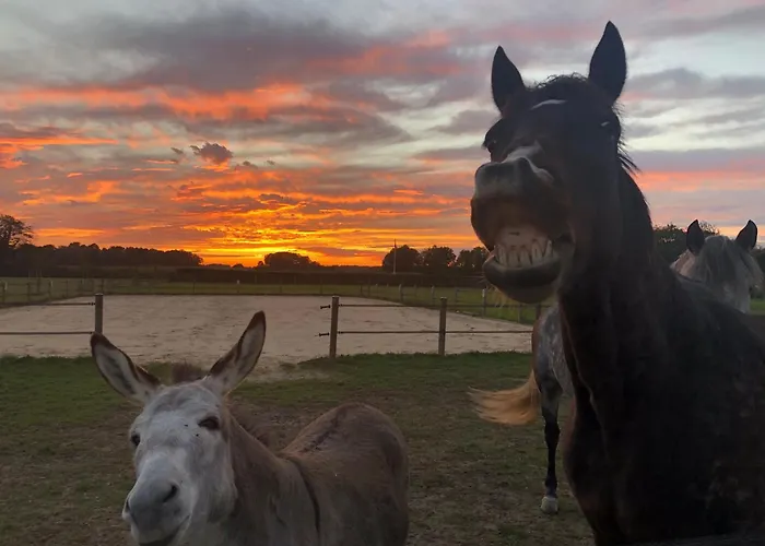 Les Roulottes Des Amis De Wonky אתר קמפינג Rétaud