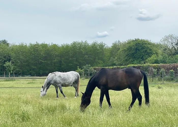 Les Roulottes Des Amis De Wonky אתר קמפינג