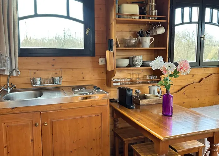 Les Roulottes Des Amis De Wonky