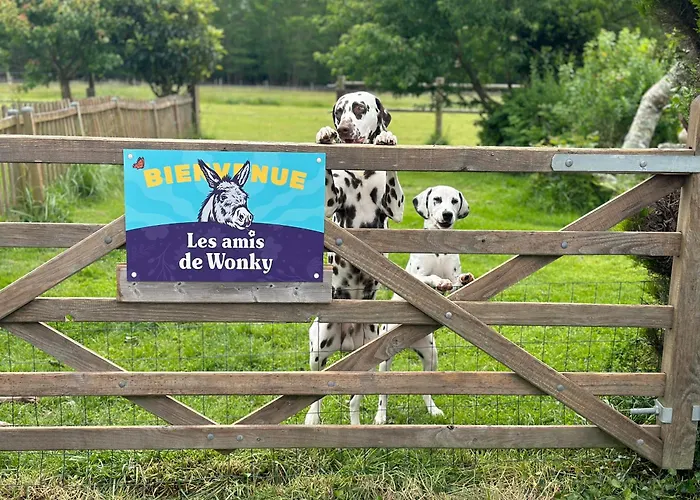 Les Roulottes Des Amis De Wonky אתר קמפינג Rétaud