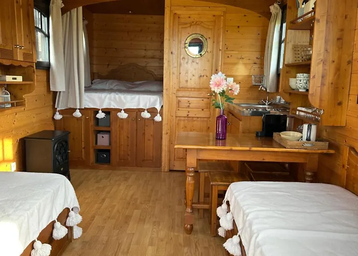 Les Roulottes Des Amis De Wonky *