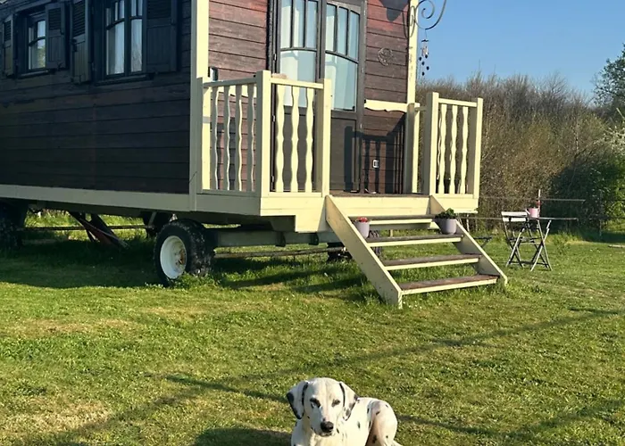 Les Roulottes Des Amis De Wonky * Rétaud