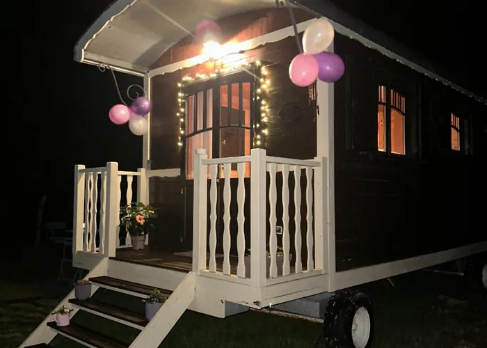 Les Roulottes Des Amis De Wonky * Rétaud