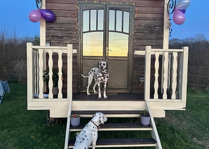 אתר קמפינג Les Roulottes Des Amis De Wonky