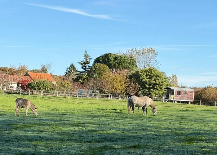 Les Roulottes Des Amis De Wonky *