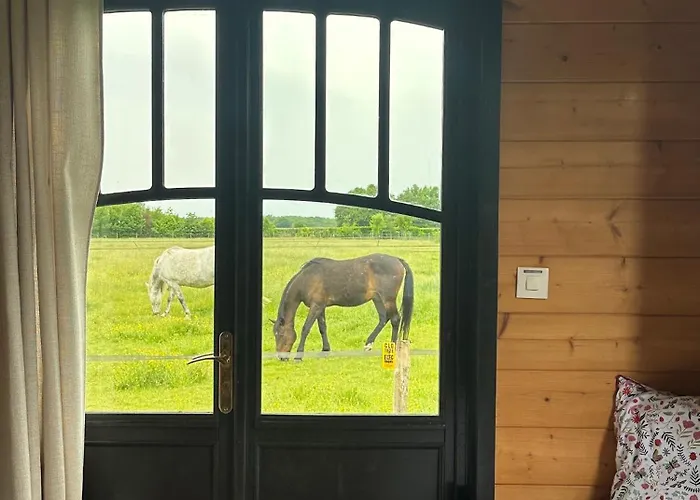 Les Roulottes Des Amis De Wonky *