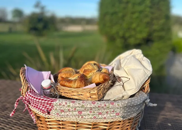 Les Roulottes Des Amis De Wonky * Rétaud