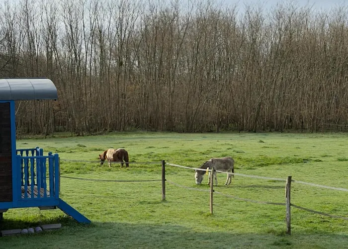 Les Roulottes Des Amis De Wonky Rétaud