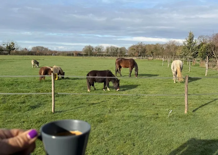 אתר קמפינג Les Roulottes Des Amis De Wonky Rétaud